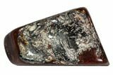Polished Stromatolite (Collenia) - Minnesota #108592-1